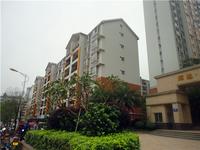 辉达山水豪庭2014.4.24实景图