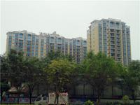 成德国际贸易广场2014.4.24实景图