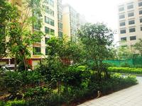 中原新都2014.4.24实景图 