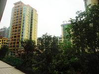 中原新都2014.4.24实景图 