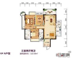 【6#A户型】3室2厅2卫1厨3阳台
