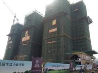 2014年11月20日实景