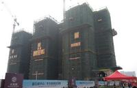 2014年11月20日实景