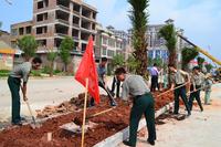 520与南兴地产爱在一起 共植树绿家园