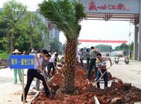 520与南兴地产爱在一起 共植树绿家园