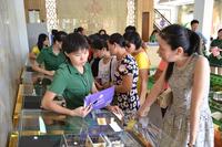 8.30广利都市绿洲看房团现场