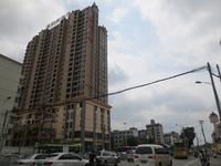 南湖6号实景图1