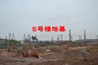 5号楼在做地基