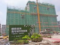 广利都市绿洲 工程实景图