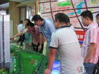 购房者在围观项目沙盘