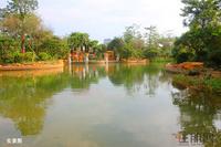 项目园林实景图