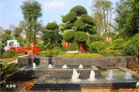 项目园林实景图