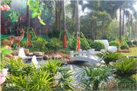 项目园林实景图