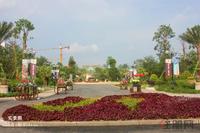 项目园林实景图