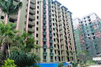 玫瑰御园 实景图 