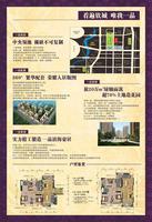 钦城一品海报样稿(背面)