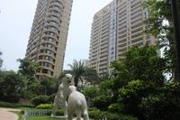 海华东盟公馆园林实景图(6.15)