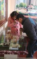 粤海时代新城元宵斗马大赛 活动图片 