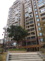 欣隆盛世观邸实景图(2014.02.13)