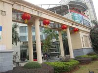 梦之岛花园实景图(2014.02.13)