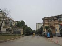 梦之岛花园实景图(2014.02.13)
