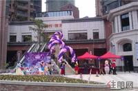城光俊景新春嘉年华欢乐上演(2014.2.15)