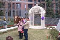 城光俊景新春嘉年华欢乐上演(2014.2.15)