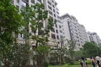 兴进臻园实景图2014.6.10