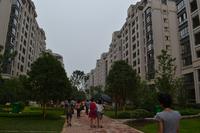 兴进臻园实景图2014.6.10