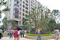 兴进臻园实景图2014.6.10