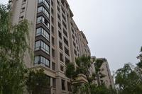 兴进臻园实景图2014.6.10