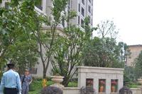 兴进臻园实景图2014.6.10