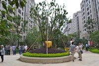 兴进臻园实景图2014.6.10