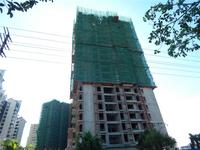 南地海江南 实景图