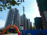 南地海江南 实景图