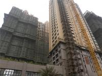 天筑塞纳项目实景