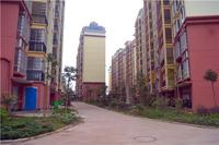 爱瑞汇锦湾2014.3.26实景图