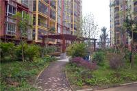 爱瑞汇锦湾2014.3.26实景图