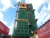 美丽港湾 实景图 