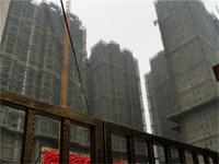 牛顿@苹果项目实景图