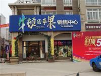 牛顿@苹果销售中心