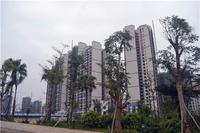 金源天鹅湖2014.3.26实景图