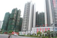 项目最新工程进度