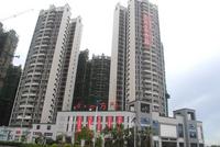 项目最新工程进度