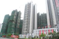 项目最新工程进度