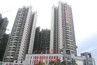 项目最新工程进度