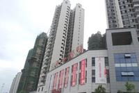 项目最新工程进度