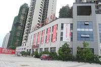 项目最新工程进度