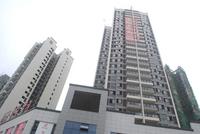 项目最新工程进度