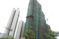 项目最新工程进度